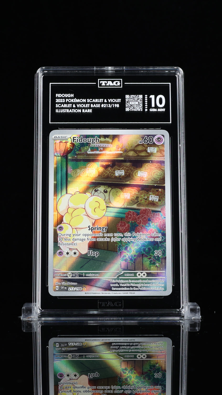 TAG 10 Fidough 213/198